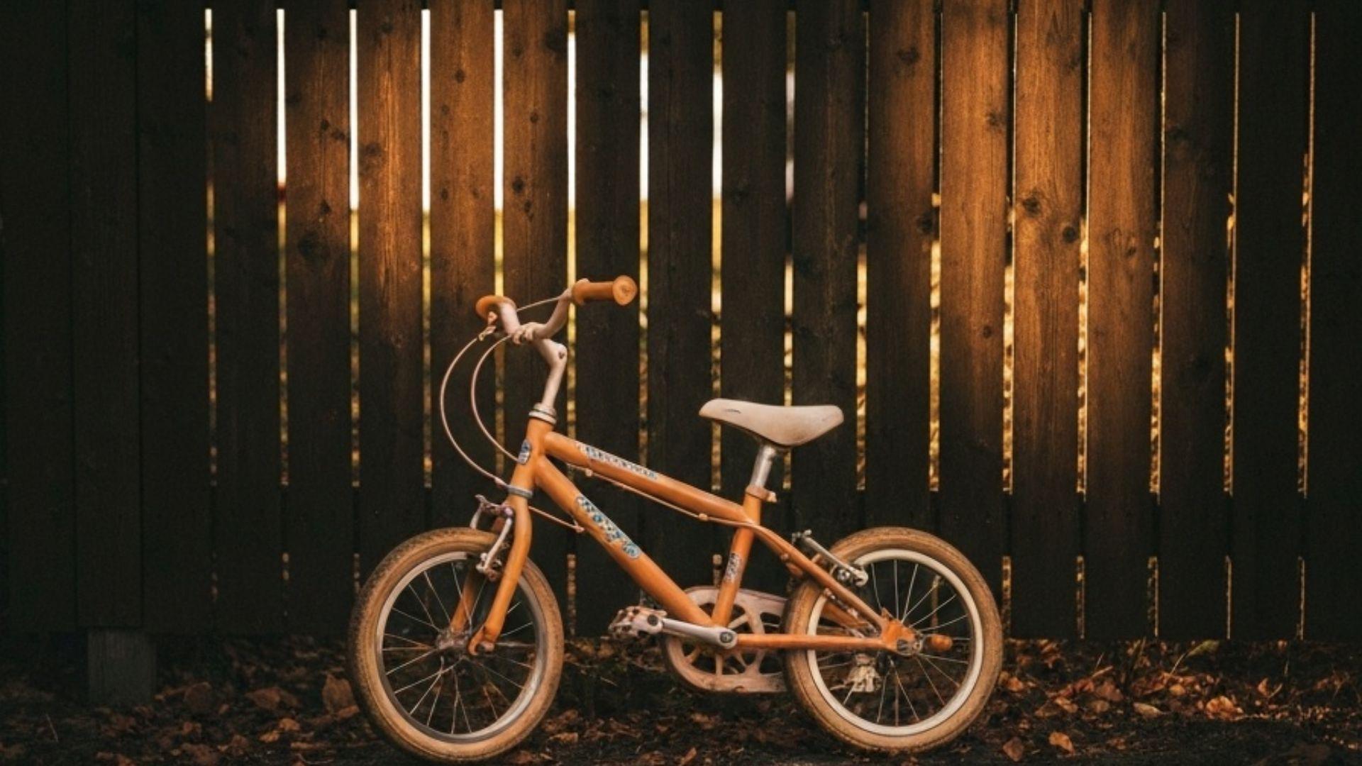 Børnecykel ved skandinavisk havegærde i eftermiddagssol